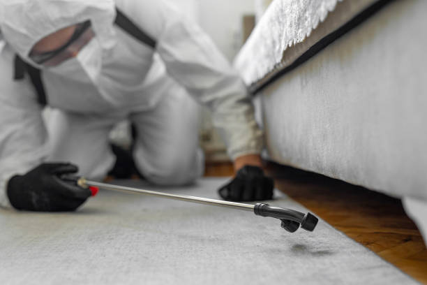 Professional Bed Bug Control technician working in Rivanna, VA