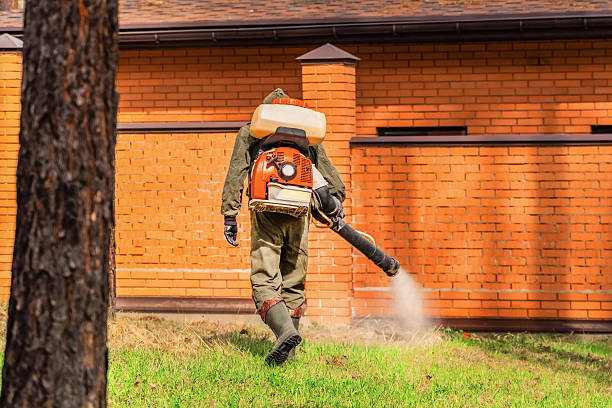 Top rated local Bed Bug Control specialists in Rivanna, VA